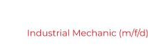 Industrial Mechanic (m/f/d)