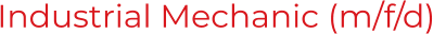 Industrial Mechanic (m/f/d)