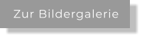 Zur Bildergalerie