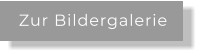 Zur Bildergalerie