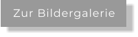 Zur Bildergalerie