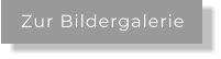 Zur Bildergalerie