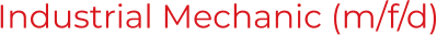 Industrial Mechanic (m/f/d)